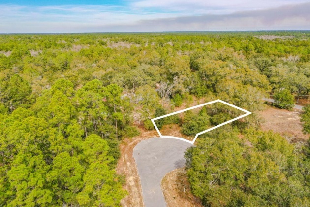 Freeport, Florida 32439, ,Land,For Sale,Jessica Ct,863783