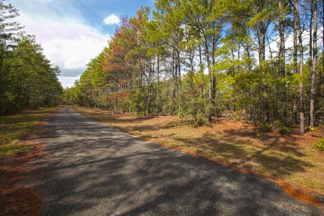 Ponce De Leon, Florida 32455, ,Land,For Sale,Golf Club,863860