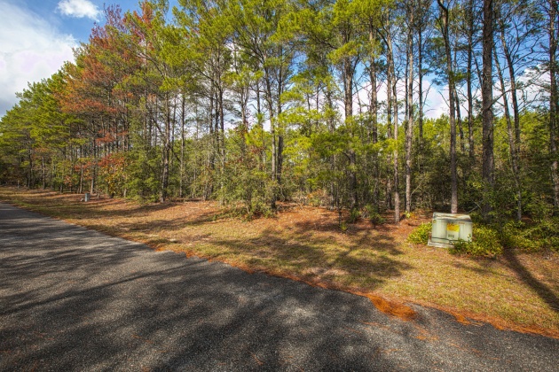 Ponce De Leon, Florida 32455, ,Land,For Sale,Golf Club,863860