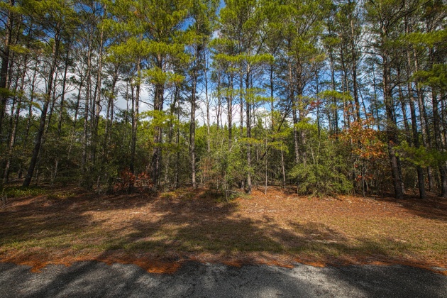 Ponce De Leon, Florida 32455, ,Land,For Sale,Golf Club,863860