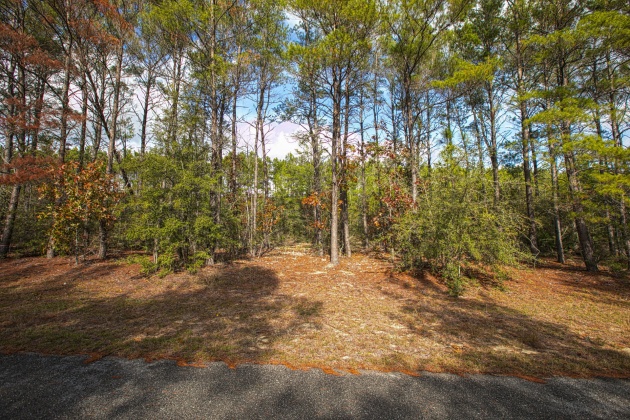 Ponce De Leon, Florida 32455, ,Land,For Sale,Golf Club,863860