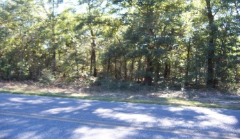 Defuniak Springs, Florida 32433, ,Land,For Sale,Martin,863961