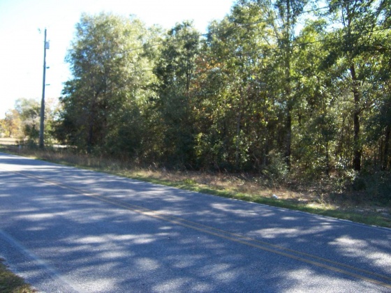 Defuniak Springs, Florida 32433, ,Land,For Sale,Martin,863961
