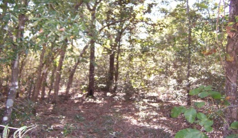 Defuniak Springs, Florida 32433, ,Land,For Sale,Kennemur,863964