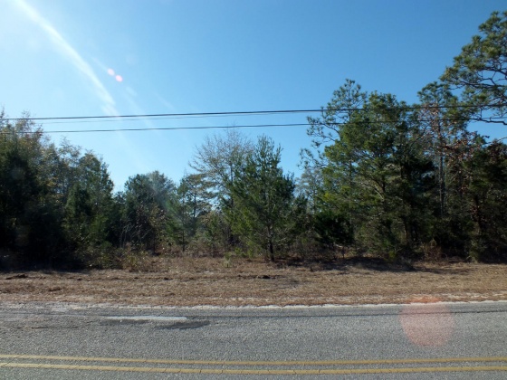 Defuniak Springs, Florida 32433, ,Land,For Sale,Martin,864046