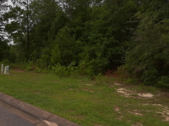 Crestview, Florida 32536, ,Land,For Sale,Genevieve,864036