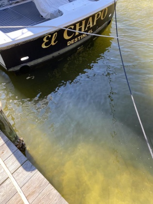 Destin, Florida 32541, 3 Bedrooms Bedrooms, ,3 BathroomsBathrooms,Residential,For Sale,Harbor,864032