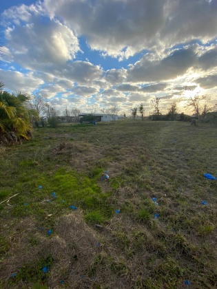 Lynn Haven, Florida 32444, ,Land,For Sale,Harvard,864051