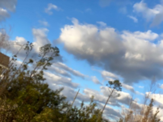 Lynn Haven, Florida 32444, ,Land,For Sale,Harvard,864051