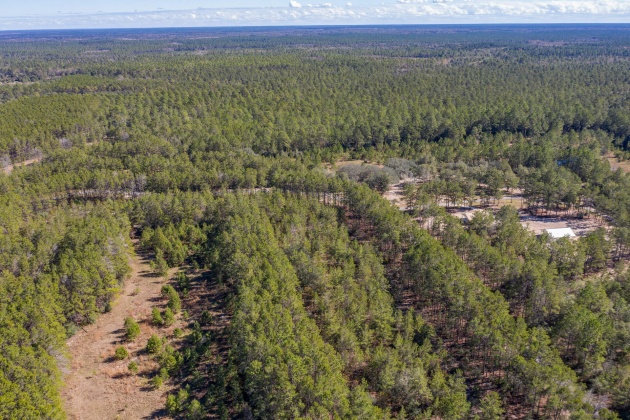 Ponce De Leon, Florida 32455, ,Land,For Sale,Golf Club,864060