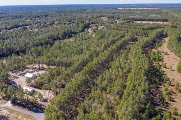 Ponce De Leon, Florida 32455, ,Land,For Sale,Golf Club,864060