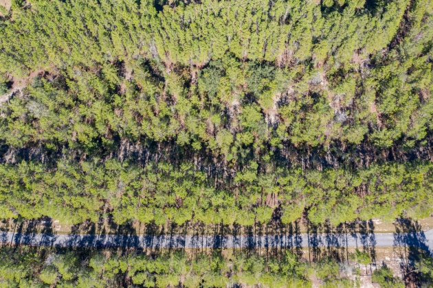 Ponce De Leon, Florida 32455, ,Land,For Sale,Golf Club,864060