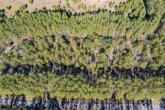 Ponce De Leon, Florida 32455, ,Land,For Sale,Golf Club,864060