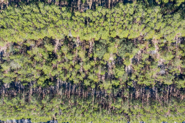 Ponce De Leon, Florida 32455, ,Land,For Sale,Golf Club,864060