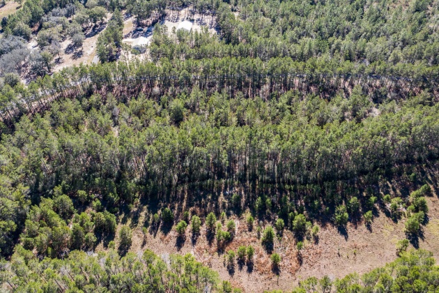 Ponce De Leon, Florida 32455, ,Land,For Sale,Golf Club,864060