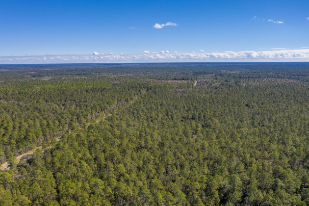 Ponce De Leon, Florida 32455, ,Land,For Sale,Golf Club,864060