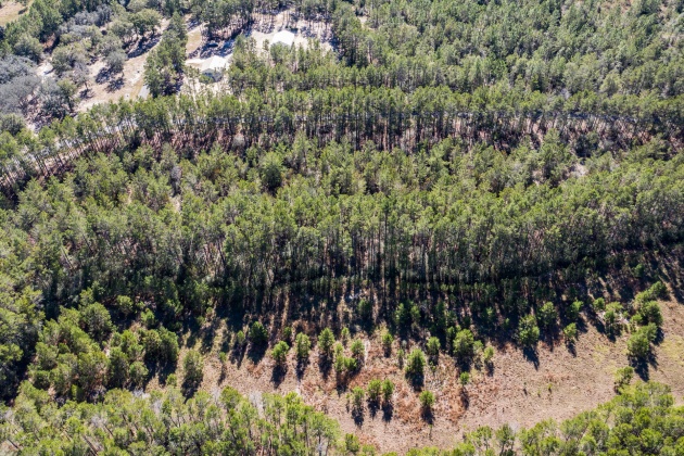 Ponce De Leon, Florida 32455, ,Land,For Sale,Golf Club,864060