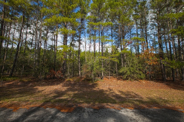 Ponce De Leon, Florida 32455, ,Land,For Sale,Golf Club,864060