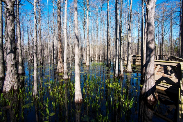 Santa Rosa Beach, Florida 32459, 3 Bedrooms Bedrooms, ,4 BathroomsBathrooms,Residential,For Sale,Park,849818