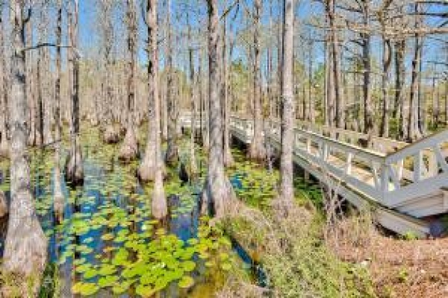 Santa Rosa Beach, Florida 32459, 3 Bedrooms Bedrooms, ,4 BathroomsBathrooms,Residential,For Sale,Cypress,864085