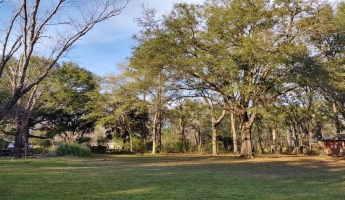Freeport, Florida 32439, ,Land,For Sale,Tubbs,839976