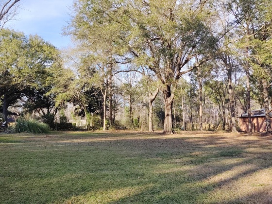 Freeport, Florida 32439, ,Land,For Sale,Tubbs,839976