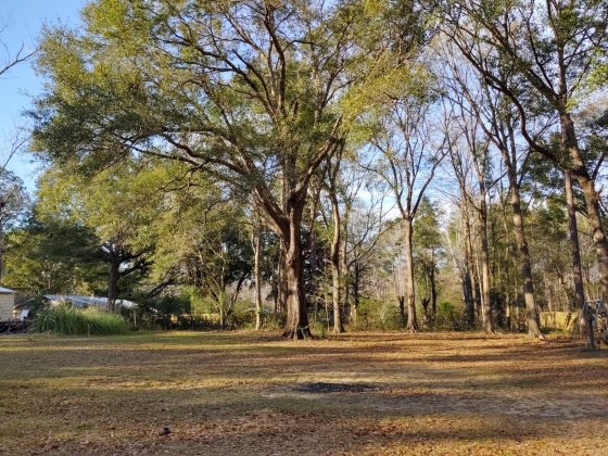 Freeport, Florida 32439, ,Land,For Sale,Tubbs,839976