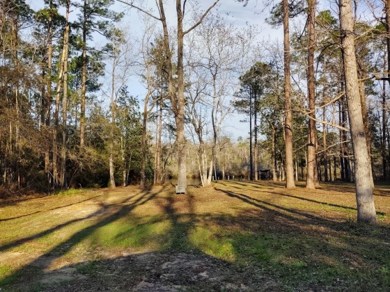 Freeport, Florida 32439, ,Land,For Sale,Tubbs,839976
