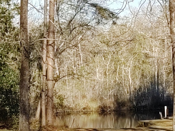 Freeport, Florida 32439, ,Land,For Sale,Tubbs,839976