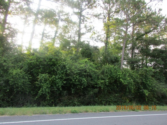 Defuniak Springs, Florida 32433, ,Land,For Sale,Highway 83,864125