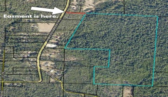 Holt, Florida 32564, ,Land,For Sale,Wilkerson Bluff,864207