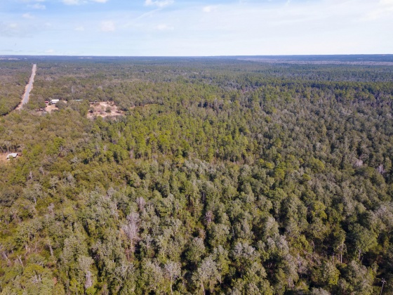 Holt, Florida 32564, ,Land,For Sale,Wilkerson Bluff,864207