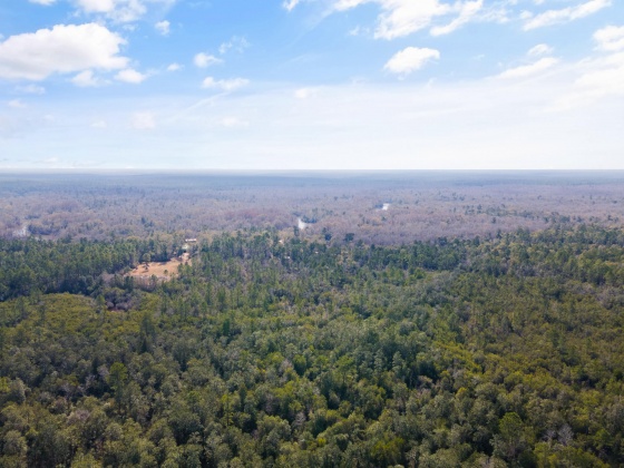 Holt, Florida 32564, ,Land,For Sale,Wilkerson Bluff,864207