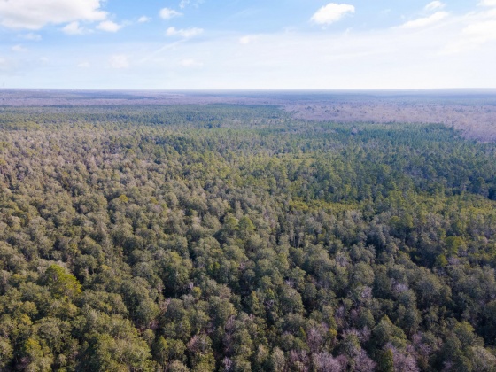 Holt, Florida 32564, ,Land,For Sale,Wilkerson Bluff,864207