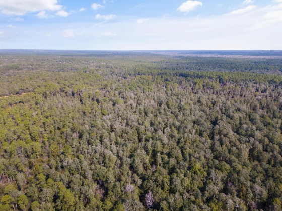 Holt, Florida 32564, ,Land,For Sale,Wilkerson Bluff,864207