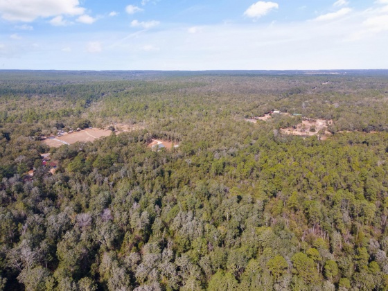 Holt, Florida 32564, ,Land,For Sale,Wilkerson Bluff,864207