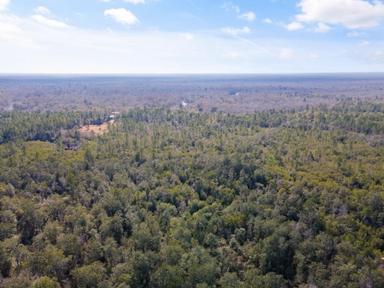 Holt, Florida 32564, ,Land,For Sale,Wilkerson Bluff,864207