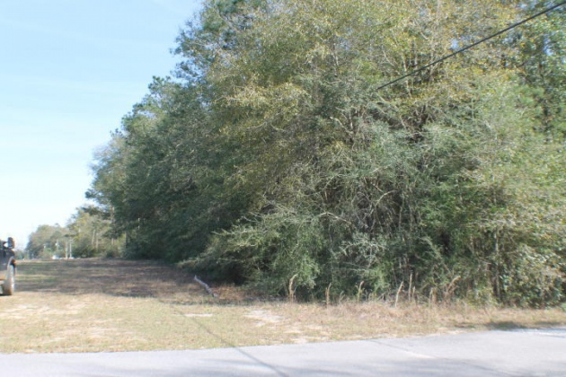 Crestview, Florida 32539, ,Land,For Sale,Honey,821342