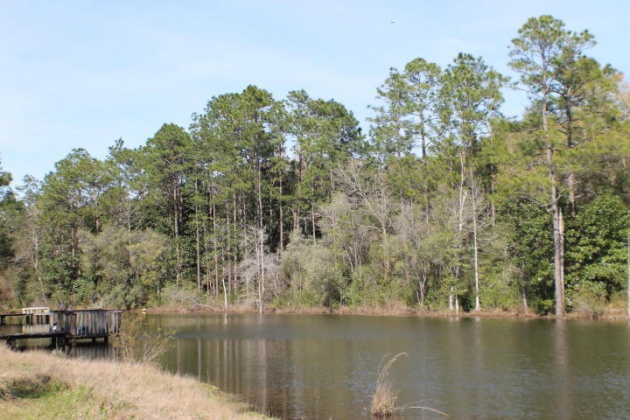 Crestview, Florida 32539, ,Land,For Sale,Honey,821342