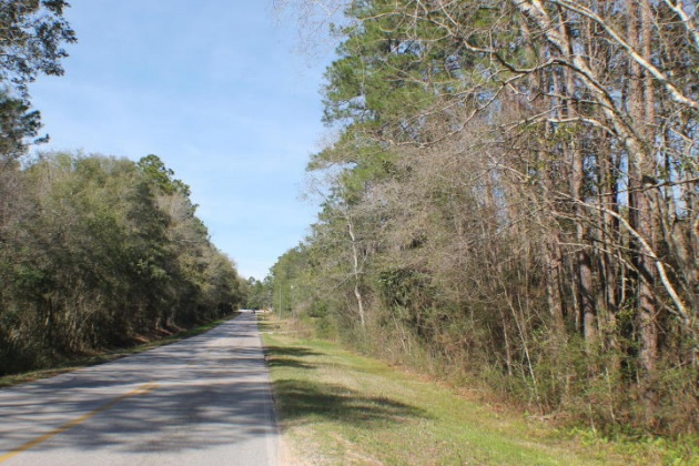 Crestview, Florida 32539, ,Land,For Sale,Honey,821342