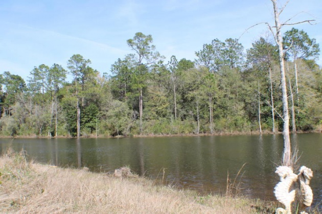 Crestview, Florida 32539, ,Land,For Sale,Honey,821342