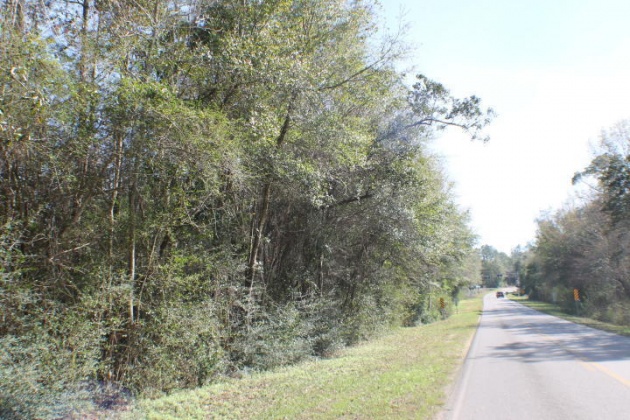 Crestview, Florida 32539, ,Land,For Sale,Honey,821342