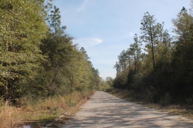 Crestview, Florida 32539, ,Land,For Sale,Honey,821342