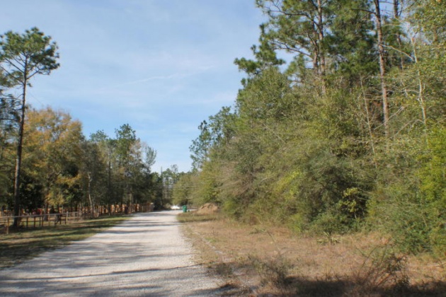 Crestview, Florida 32539, ,Land,For Sale,Lark,821329