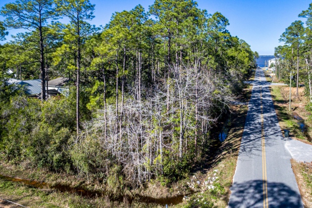 Santa Rosa Beach, Florida 32459, ,Land,For Sale,Georgie,864243