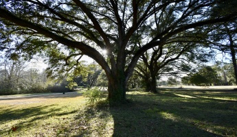 Bonifay, Florida 32425, ,Commercial for Sale,For Sale,Country Club,864384