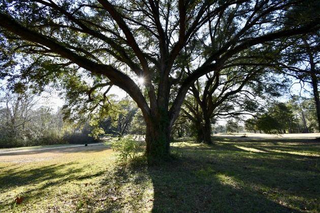 Bonifay, Florida 32425, ,Commercial for Sale,For Sale,Country Club,864384