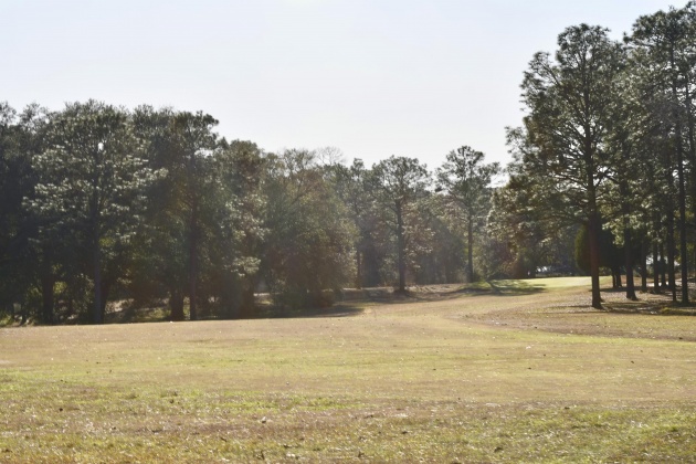 Bonifay, Florida 32425, ,Commercial for Sale,For Sale,Country Club,864384