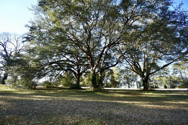 Bonifay, Florida 32425, ,Commercial for Sale,For Sale,Country Club,864384