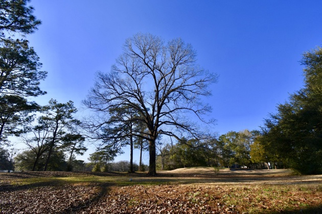 Bonifay, Florida 32425, ,Commercial for Sale,For Sale,Country Club,864384